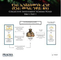 collective investment scheme.pdf